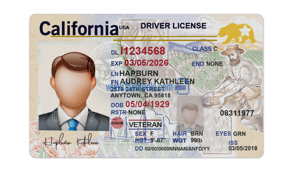 freeca drivers license photoshop template
